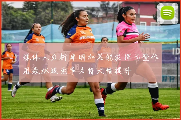 媒体人分析库明加若能发挥戈登作用森林狼竞争力将大幅提升