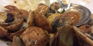 TAOSI CLAMS